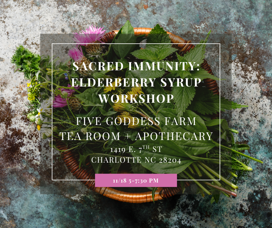 Sacred Immunity: Elderberry Syrup Making Workshop