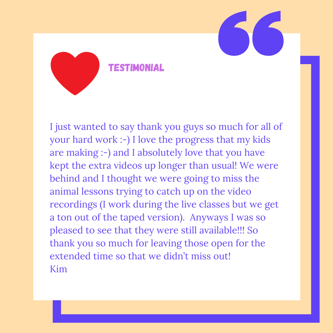 Testimonial Review Instagram Post.png