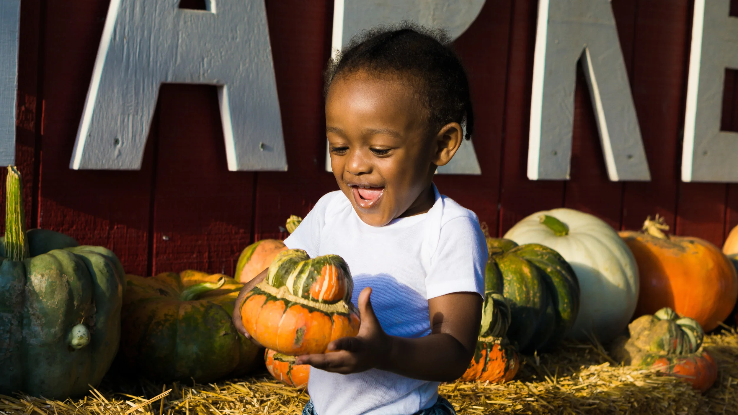 Fall Farm-29.jpg