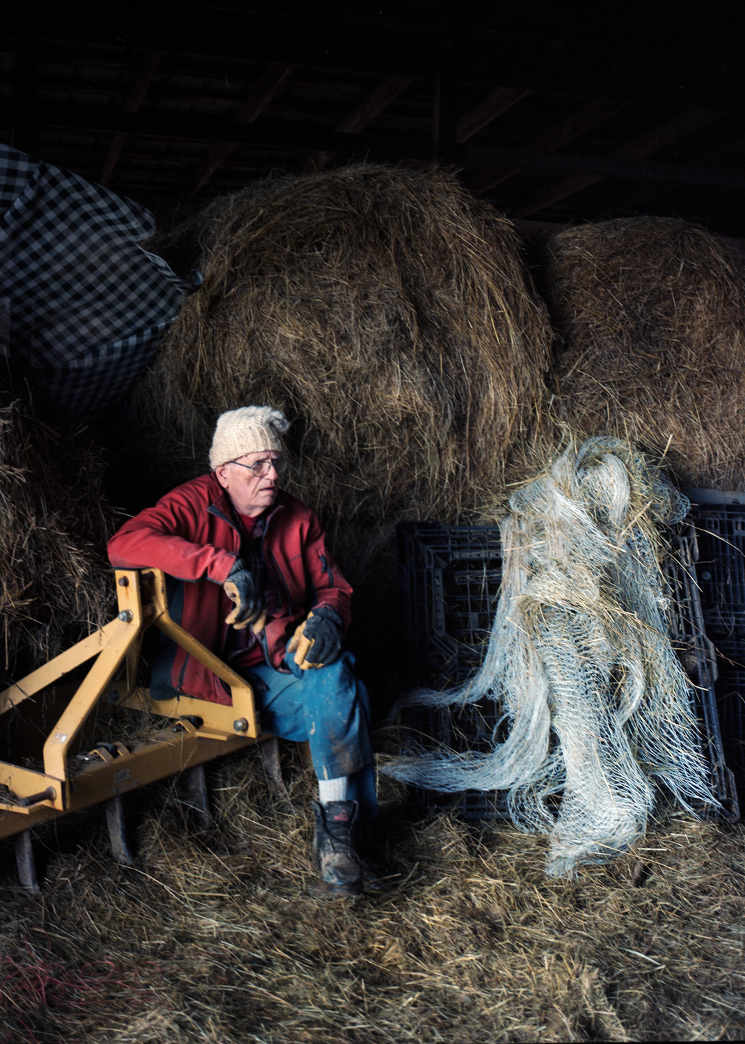 Akey08 Farrell watches as the weaned calves eat.jpg