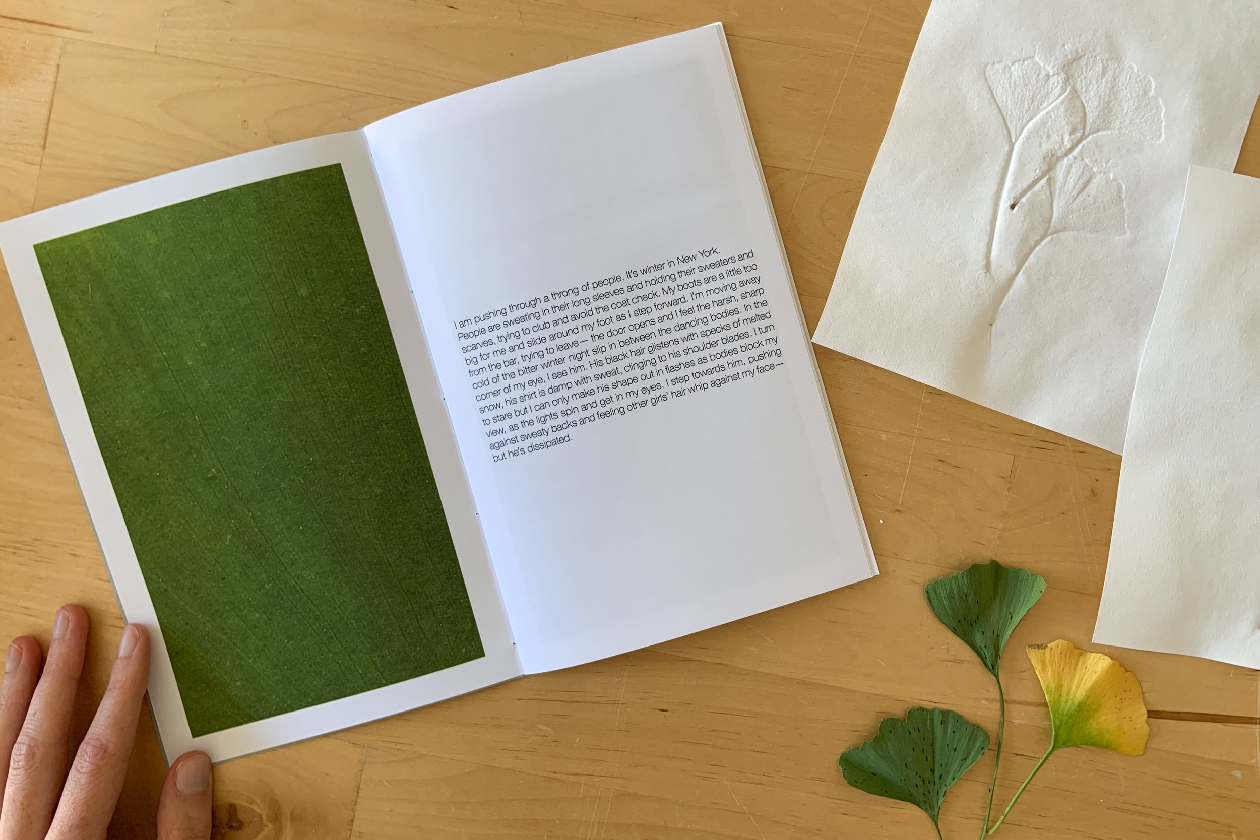 ginkgo book -3.jpg