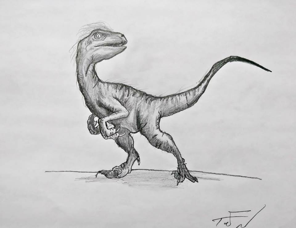  I drew up a velociraptor in spirit of the new Jurassic Park movie coming out on the 22nd.    I'm a 90s kid so i grew up watching the originals in the theatre and becoming obsessed with the series ever since.    kinda messed up on the shading and the