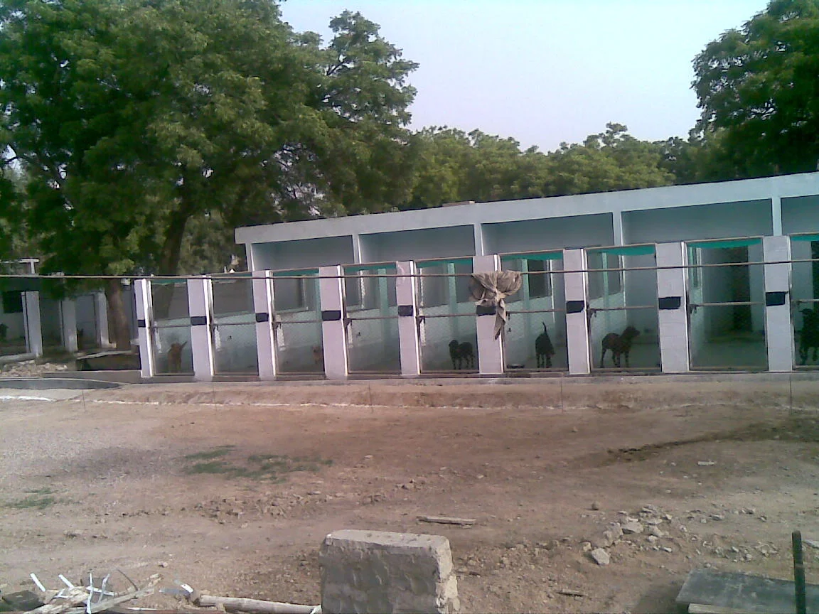 24042009(009).jpg