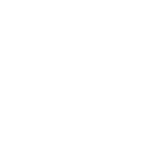 Artefacts History