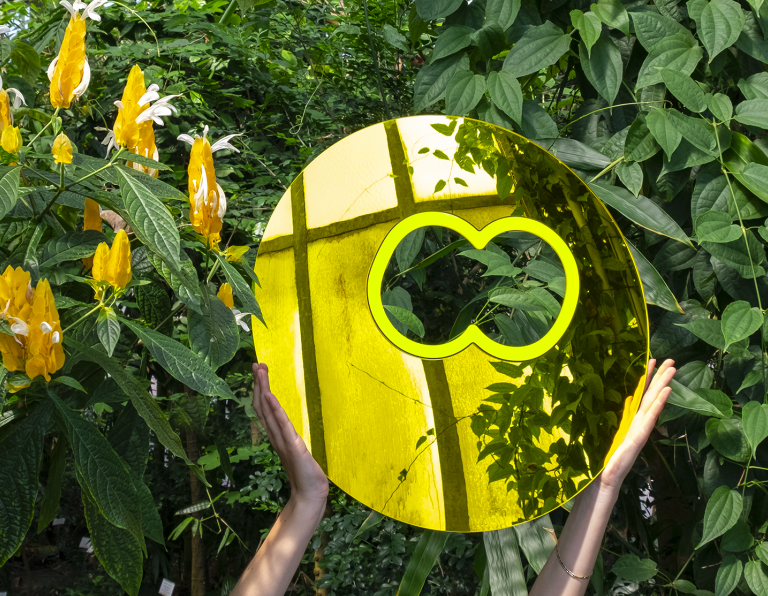 GREG BOGIN x Case Studyo "MR. SUNSHINE