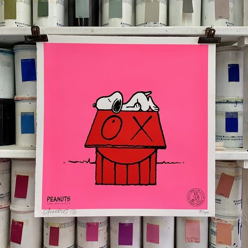 Andre Saraiva - Snoopy Naps on Red House