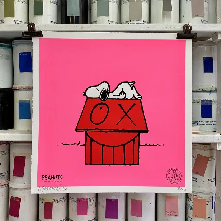 Andre Saraiva - Snoopy Naps on Red House 