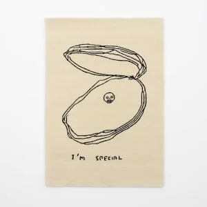 DAVIS SHRIGLEY - I'M SPECIAL