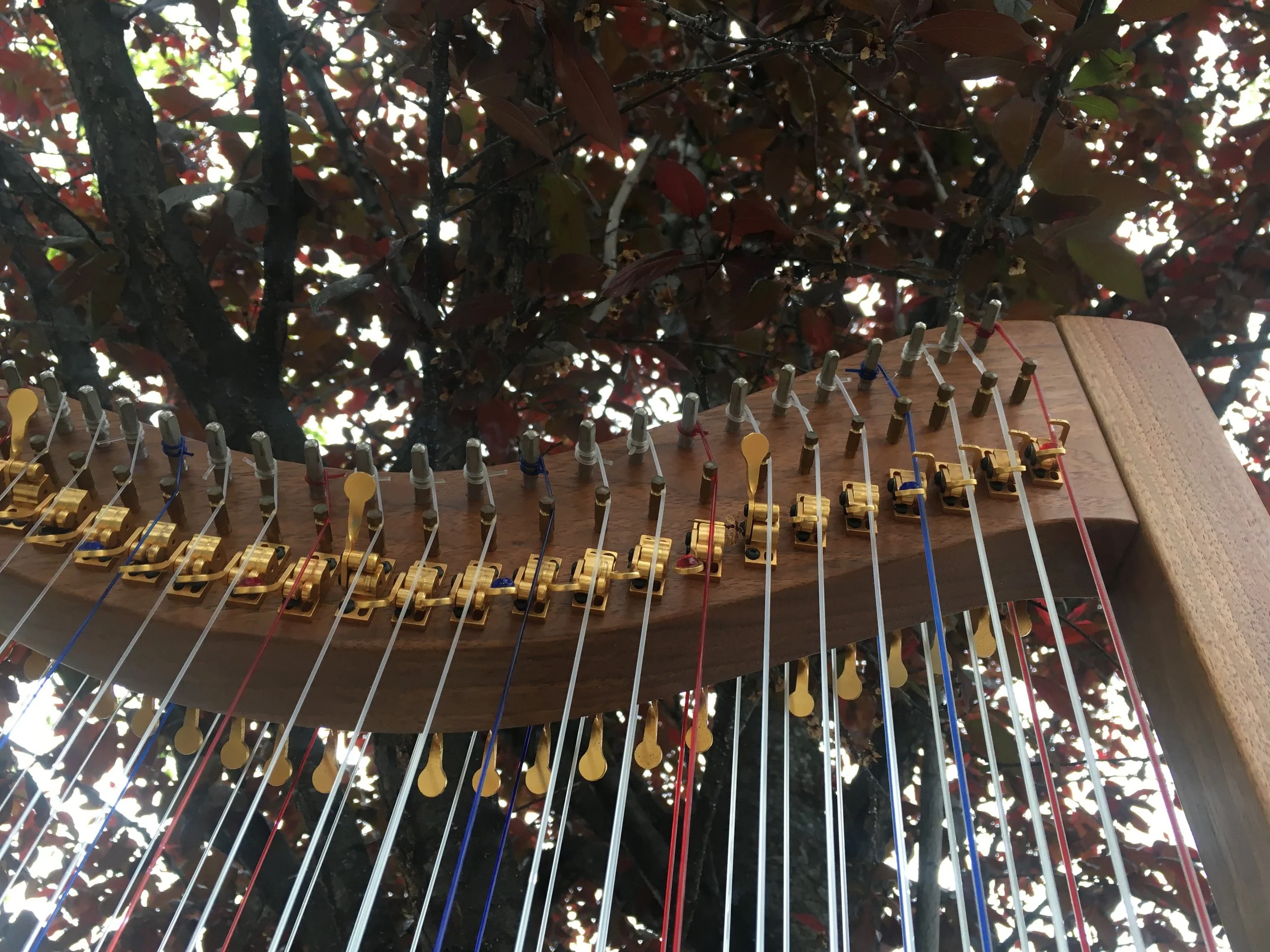 Double-Strung-Harp-Cherry.jpg