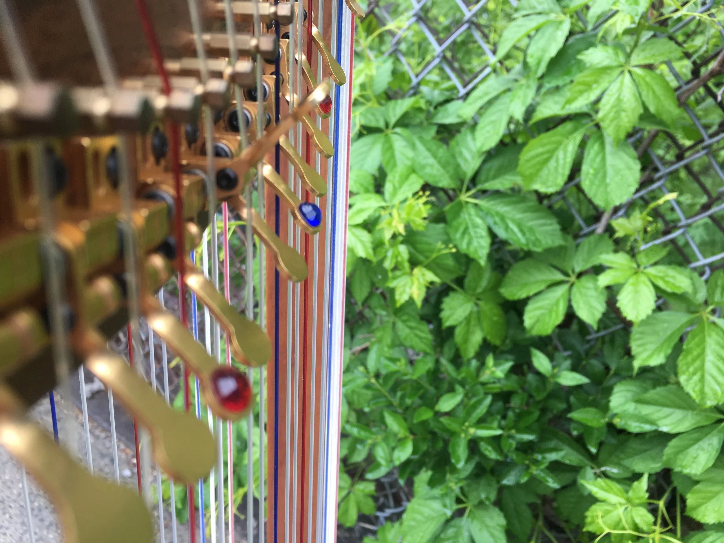 Double-Strung-Harp-Weeds.jpg