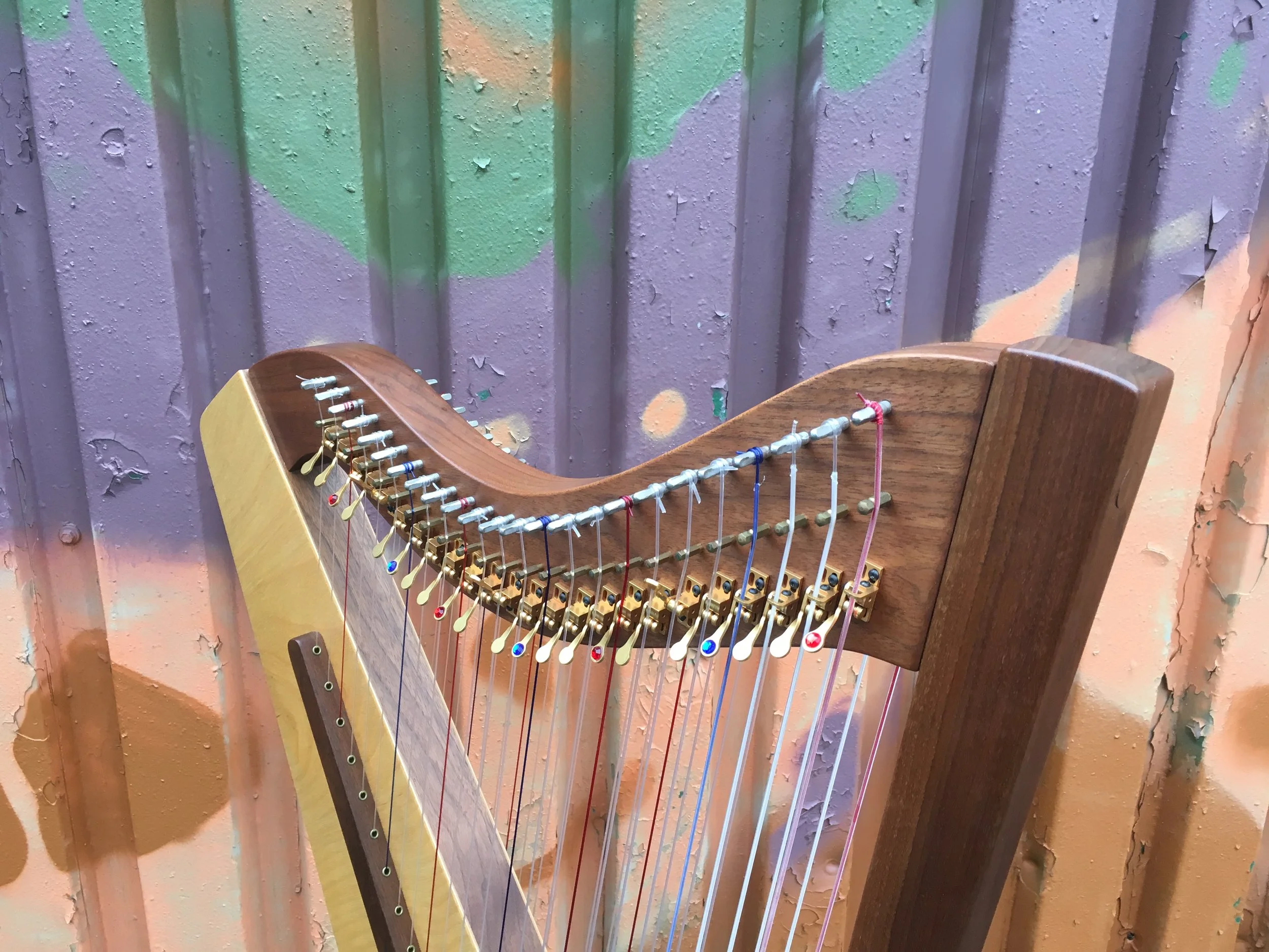 Double-strung harp lessons purple.JPG