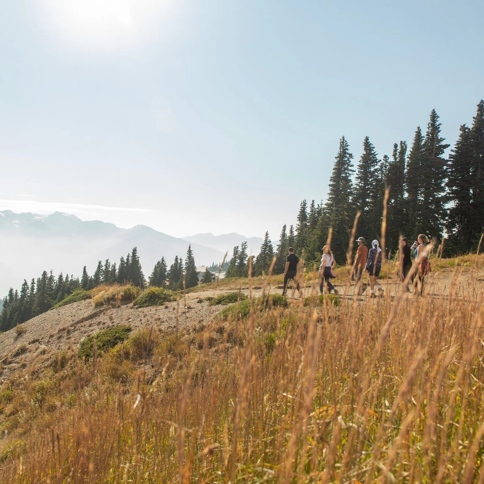 Queer Advanced Backpacking - PNW (WAITLIST)