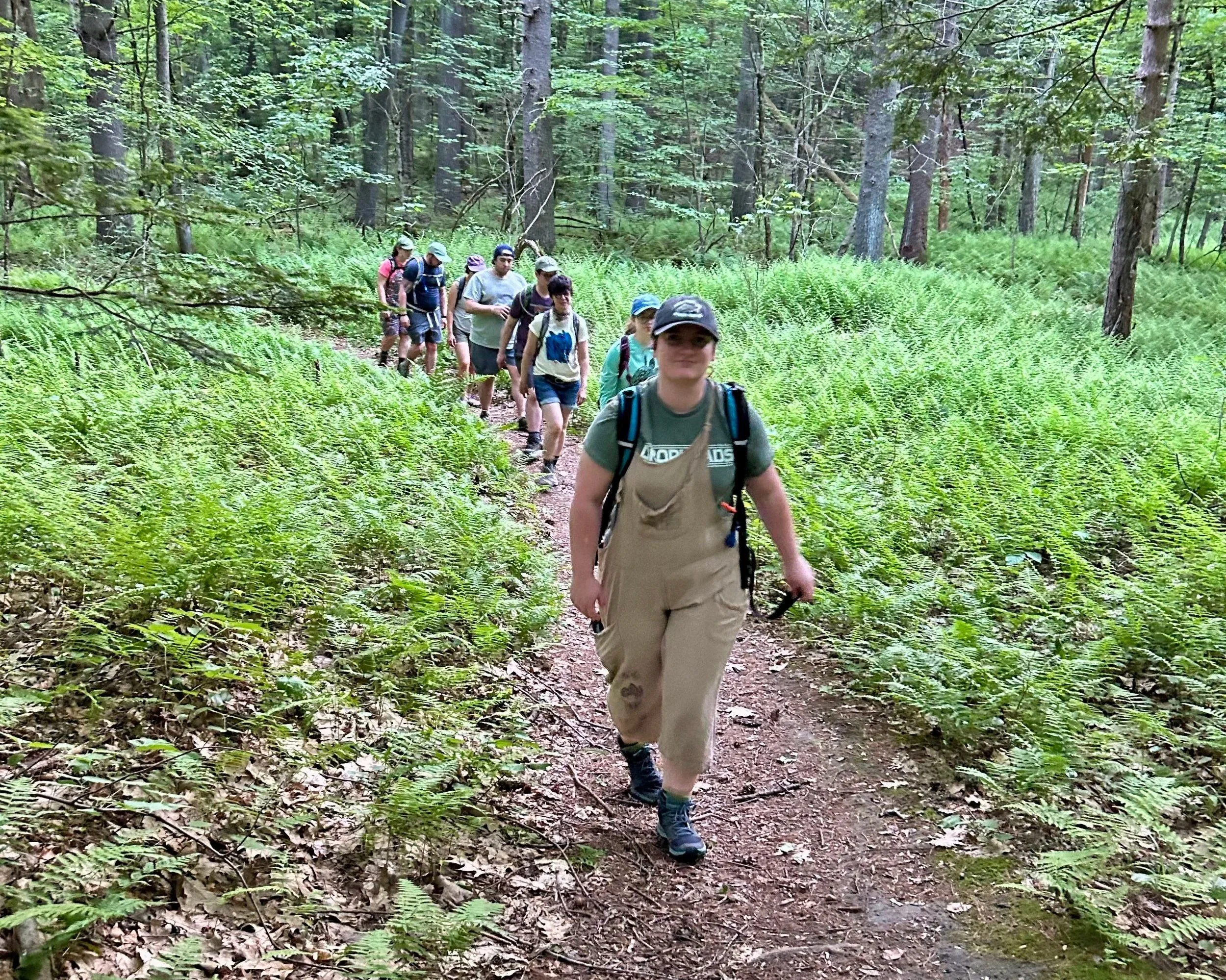 TNH+2026+Roaring+Falls+Walking+through+the+ferns+_+AmyBoemig.jpg