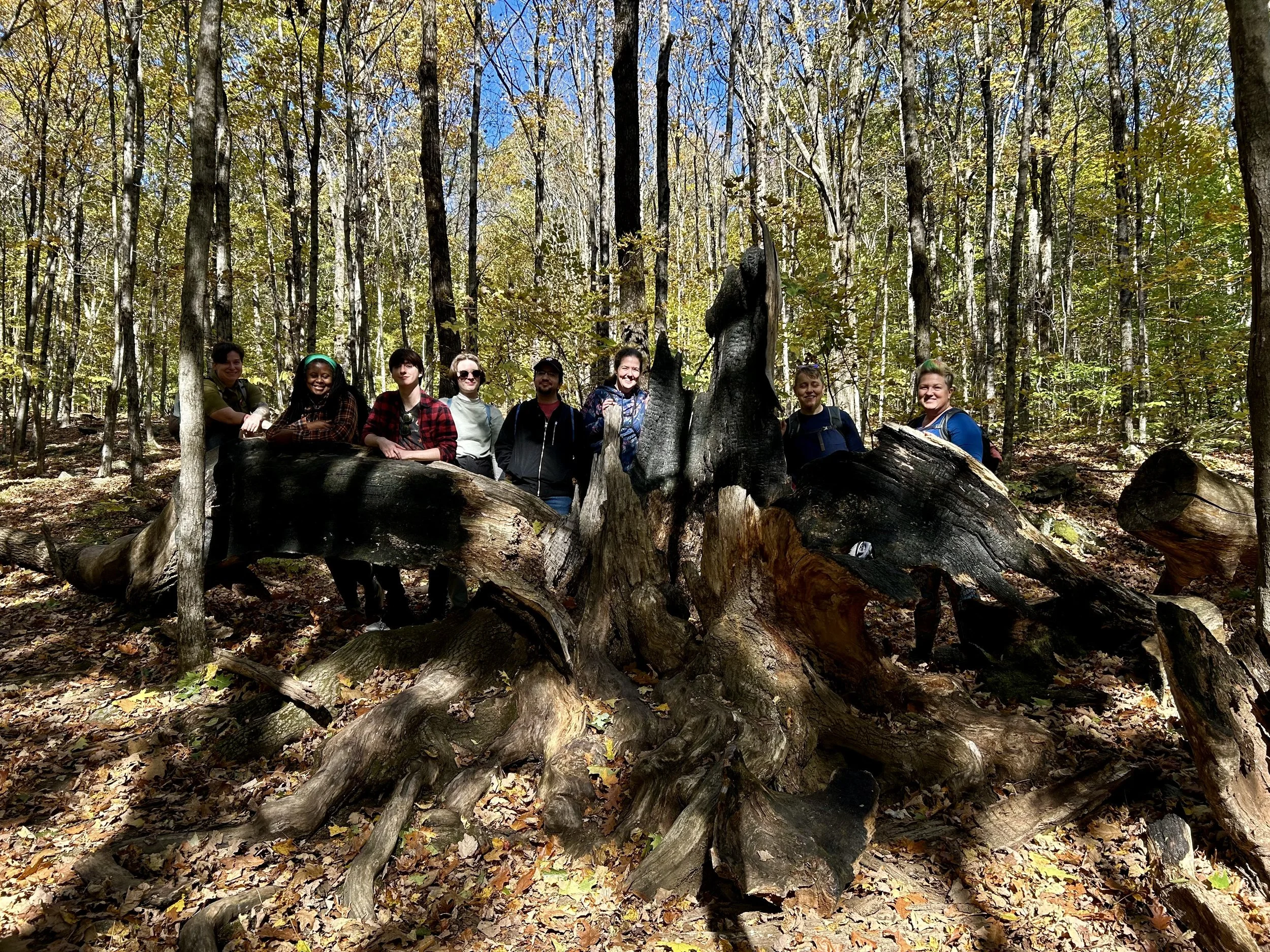 GroupByTheElephantTreeStump.jpeg