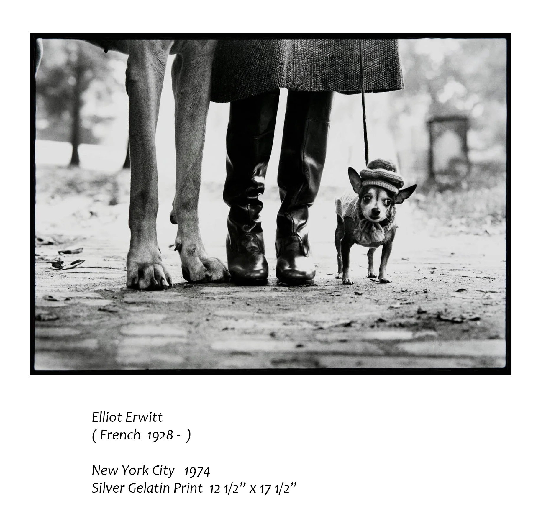 Elliot Erwitt.jpg