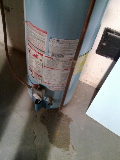 Sometimes a hot water heater can be repaired instead of replaced.