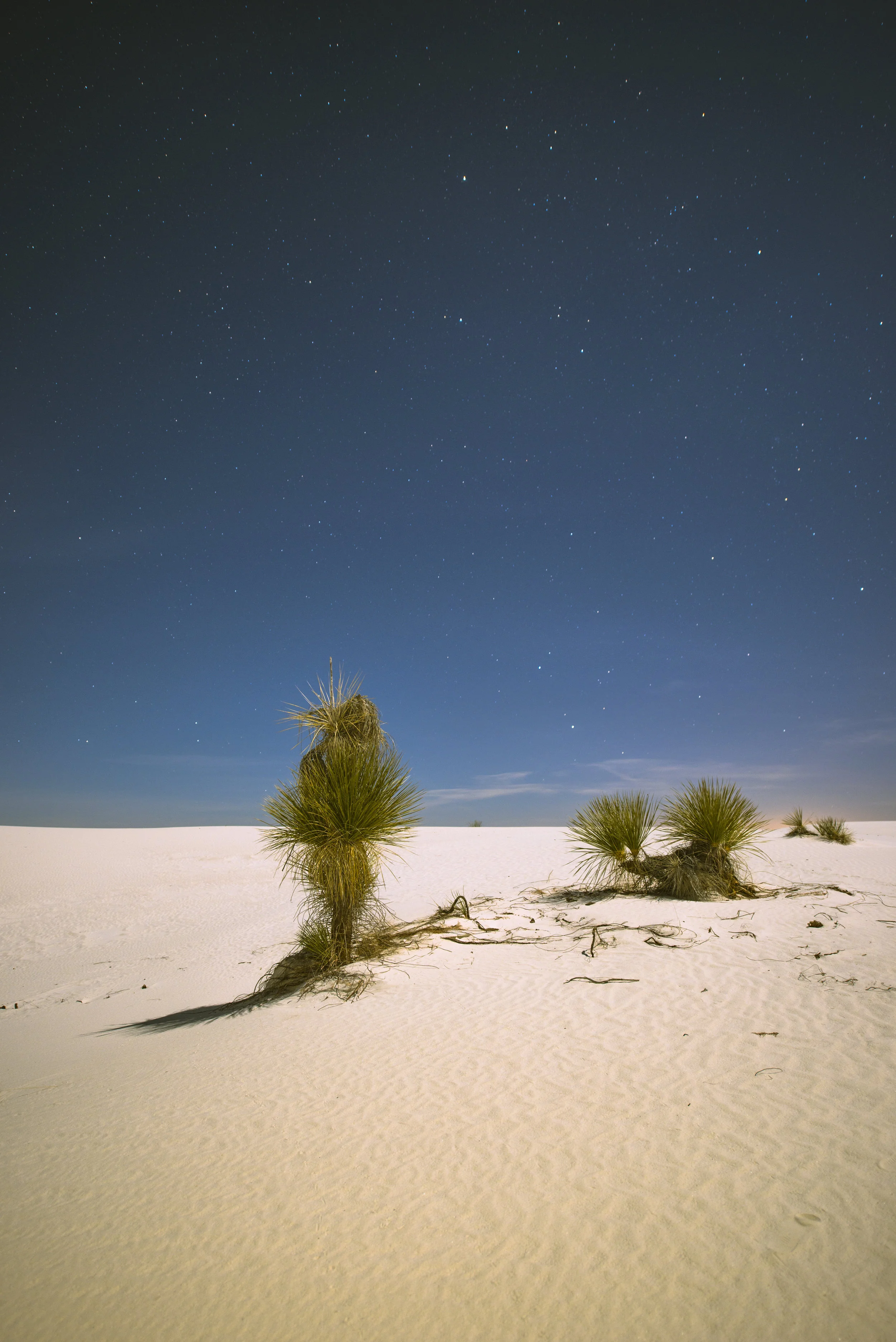 White Sands Night