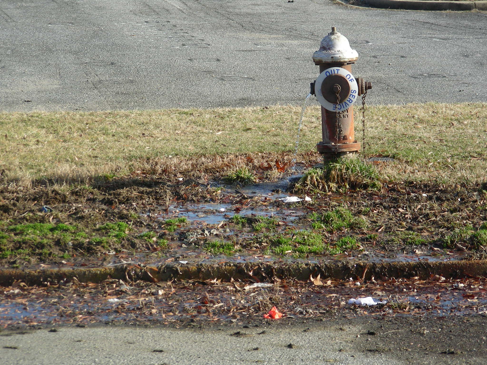 Leaking Hydrant.jpg