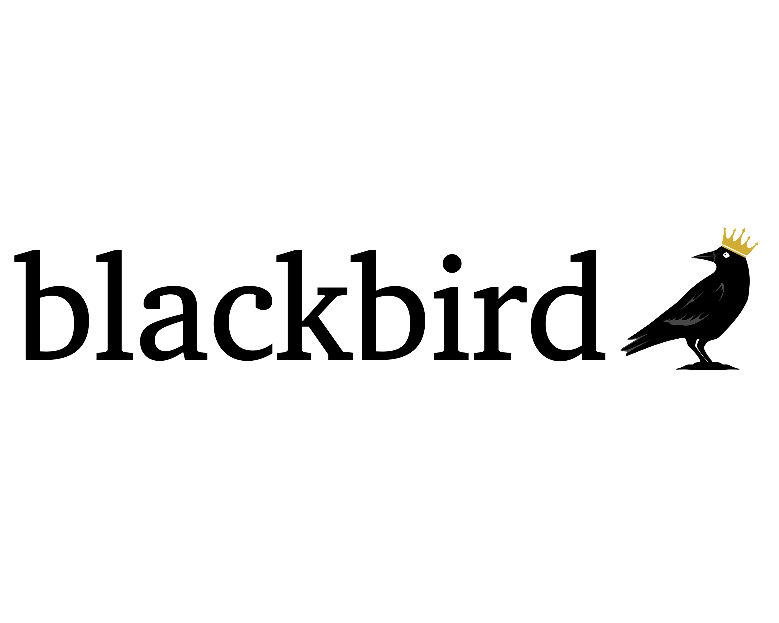 blackbird_final-revisions-02.png