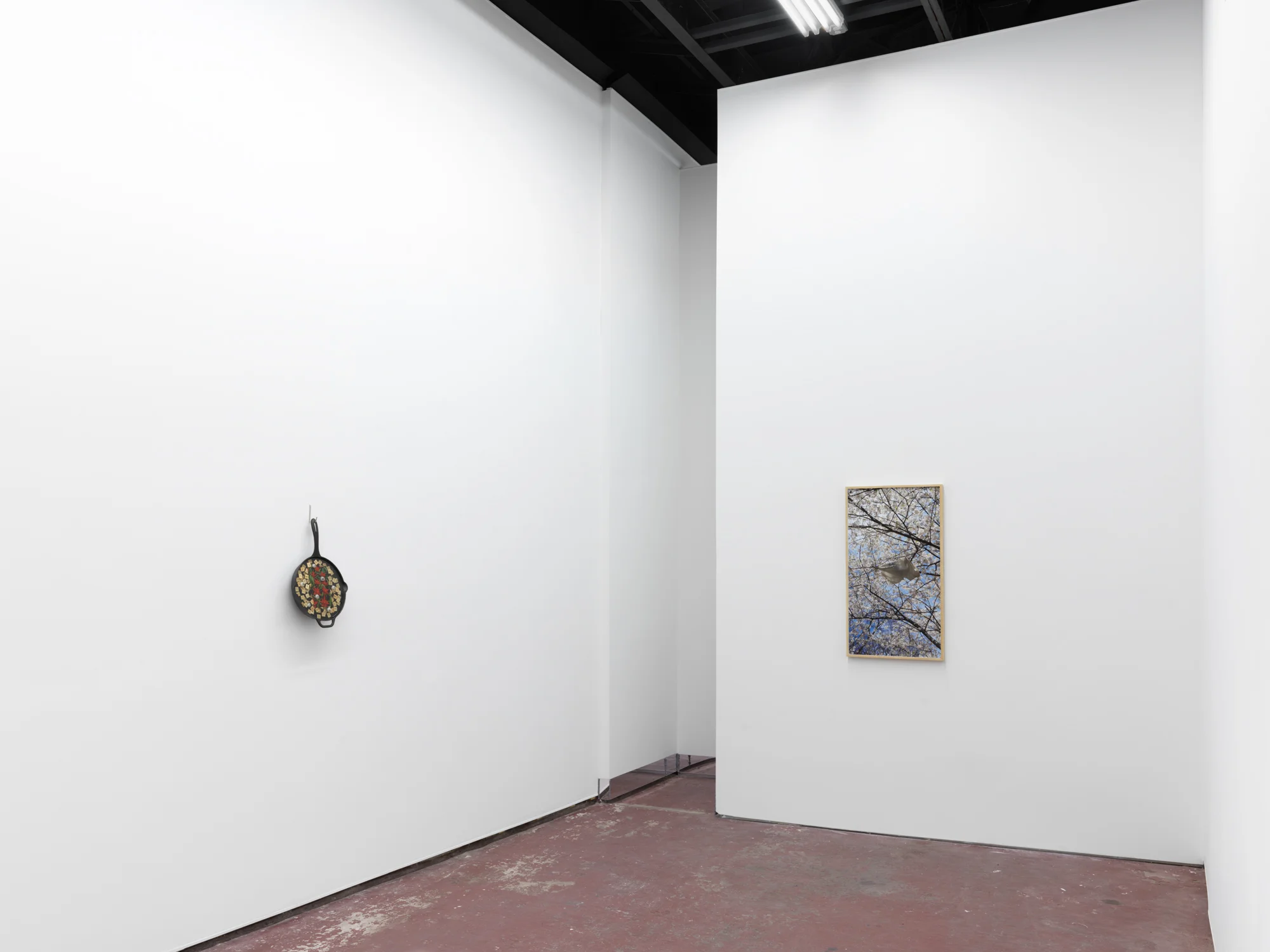 Installation view - ‘ OLD MUSIC’ w/ Mika Agari Marvin Gardens, Ridgewood NYC March 2019