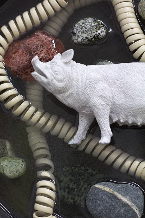 tondo white pig_detail1_web.jpg