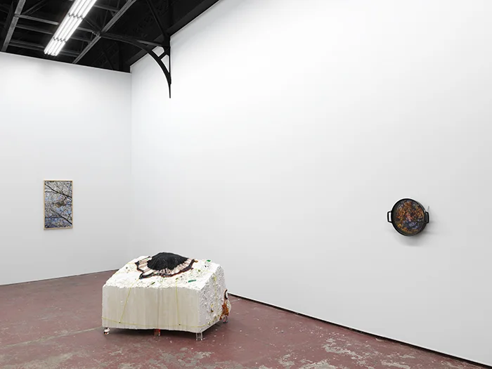 Installation view - ‘ OLD MUSIC’ w/ Mika Agari Marvin Gardens, Ridgewood NYC March 2019