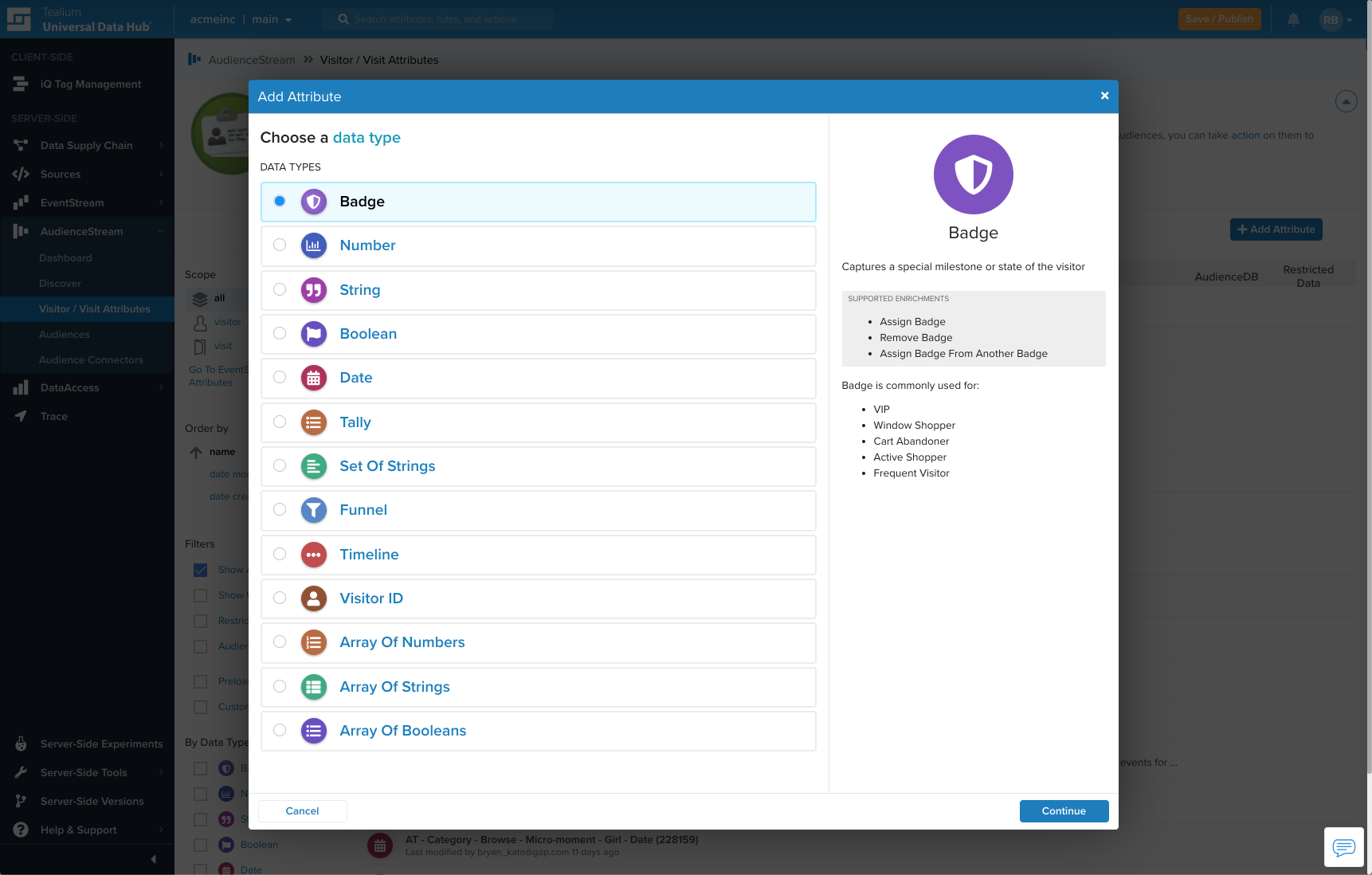 Attribute Type Selection.png