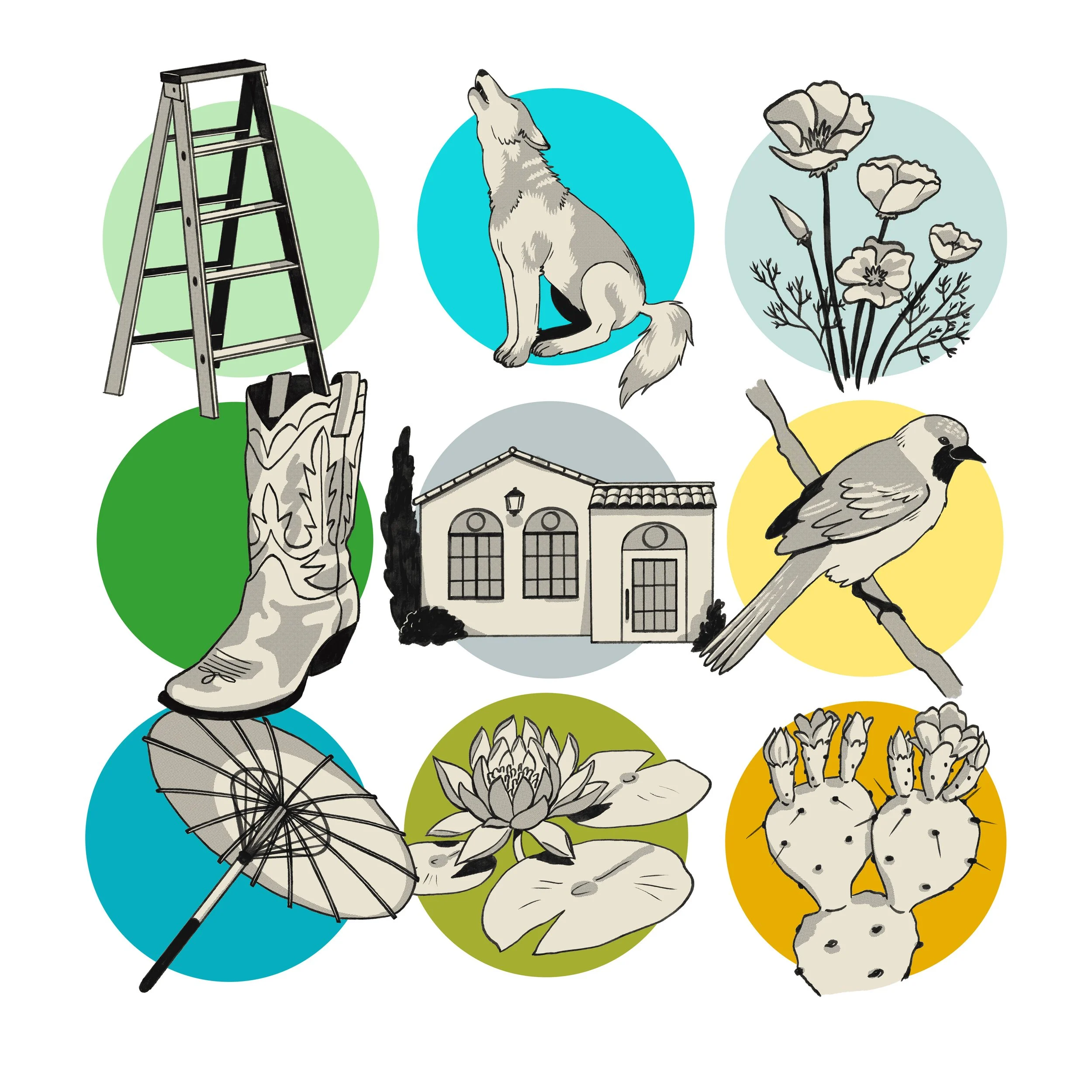 All Illustrations copy.jpg