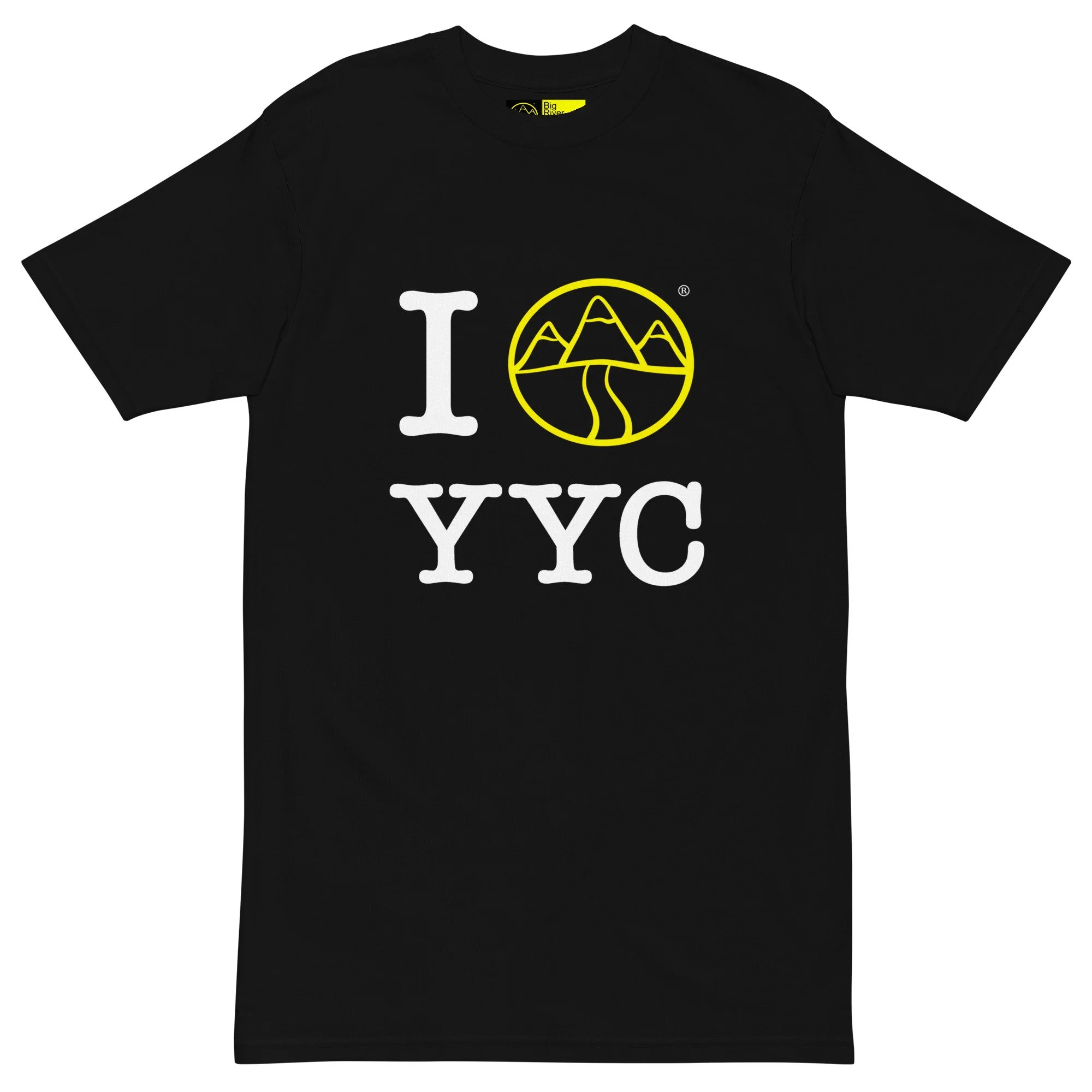 mens-premium-heavyweight-tee-black-front-6a318b4a73eda.jpg