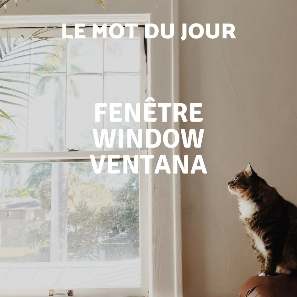 Fenêtre.jpg