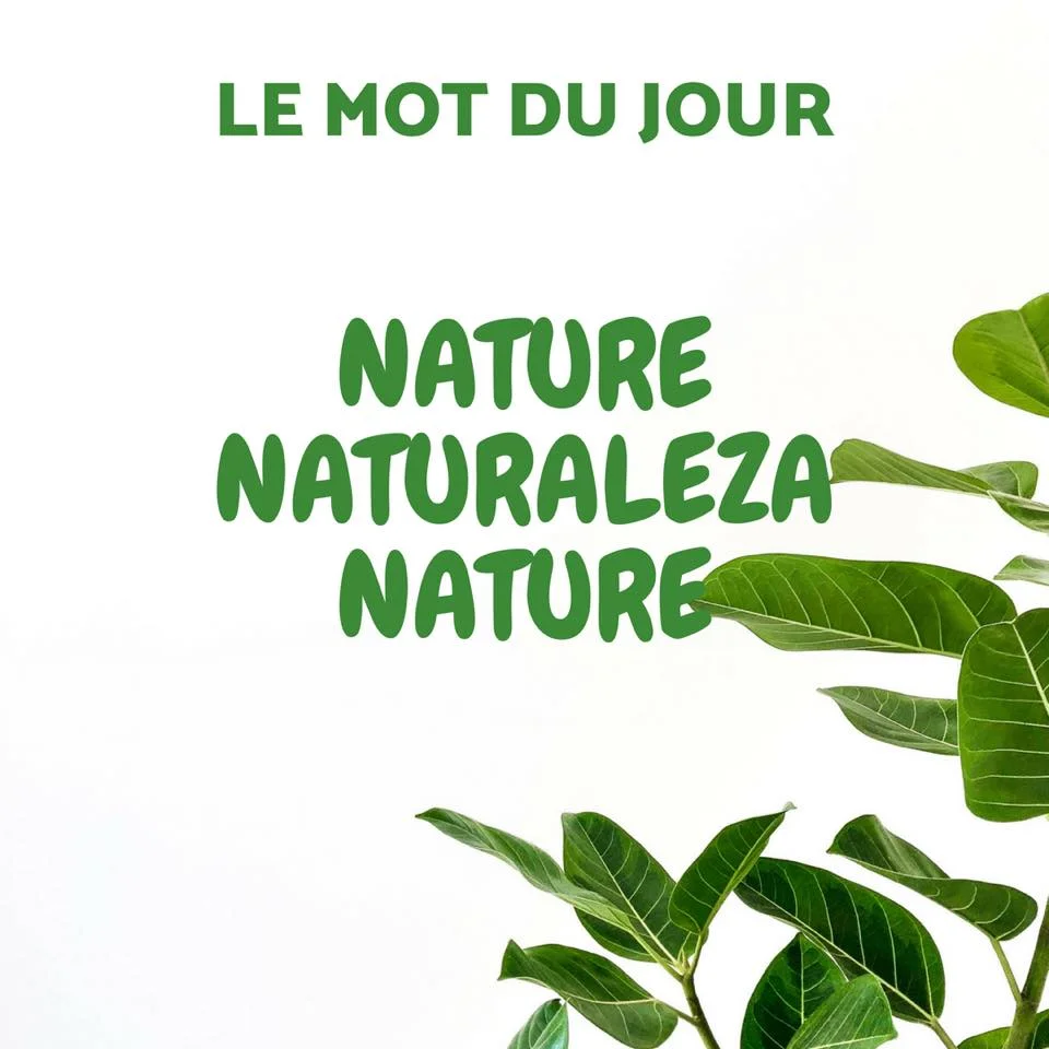 Nature.jpg