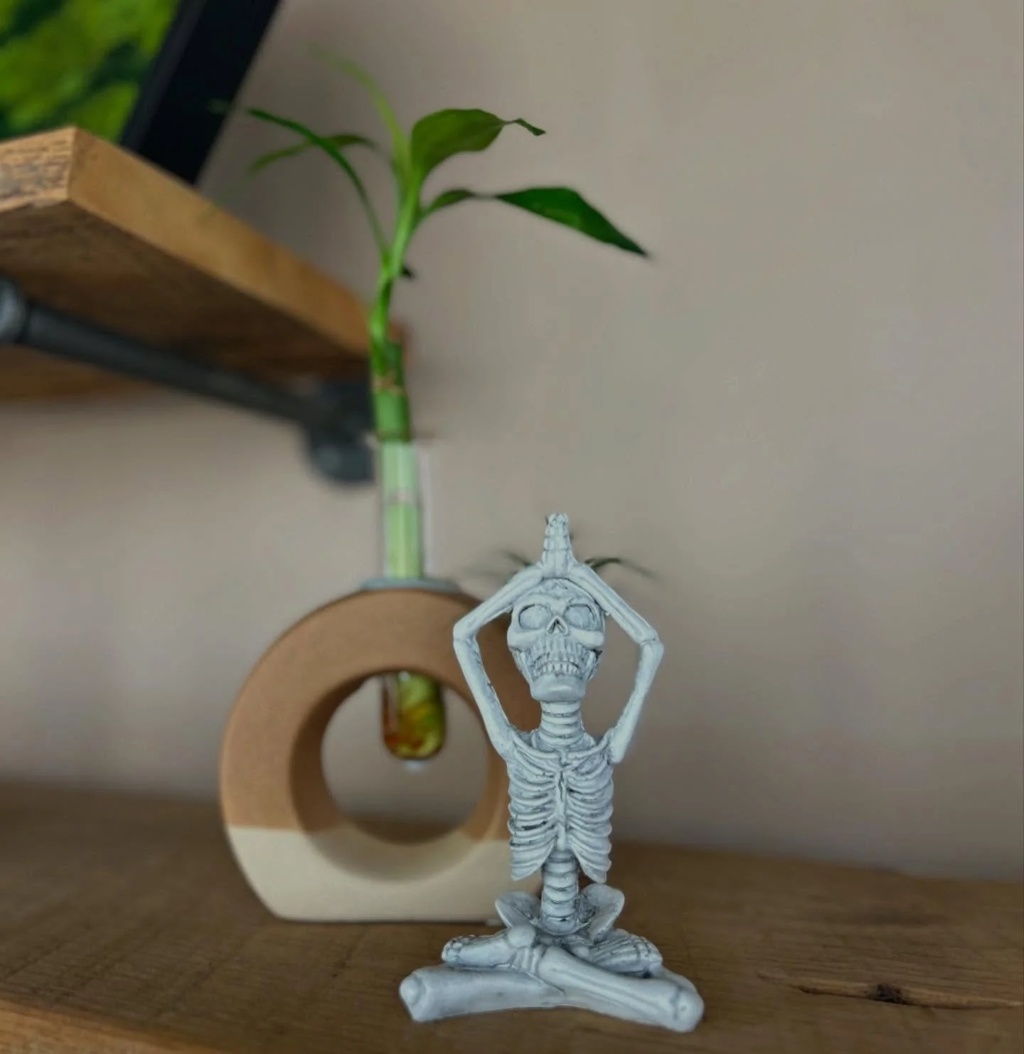 &ldquo;Mind the little things. Appreciate them. Revere them, too.&rdquo; -Shellen Lubin 🫶🏽
&bull;
&bull;
&bull;
&bull;
#thelittlethings #gratitude #appreciation #mindfulness #slowliving #inharmonyoga