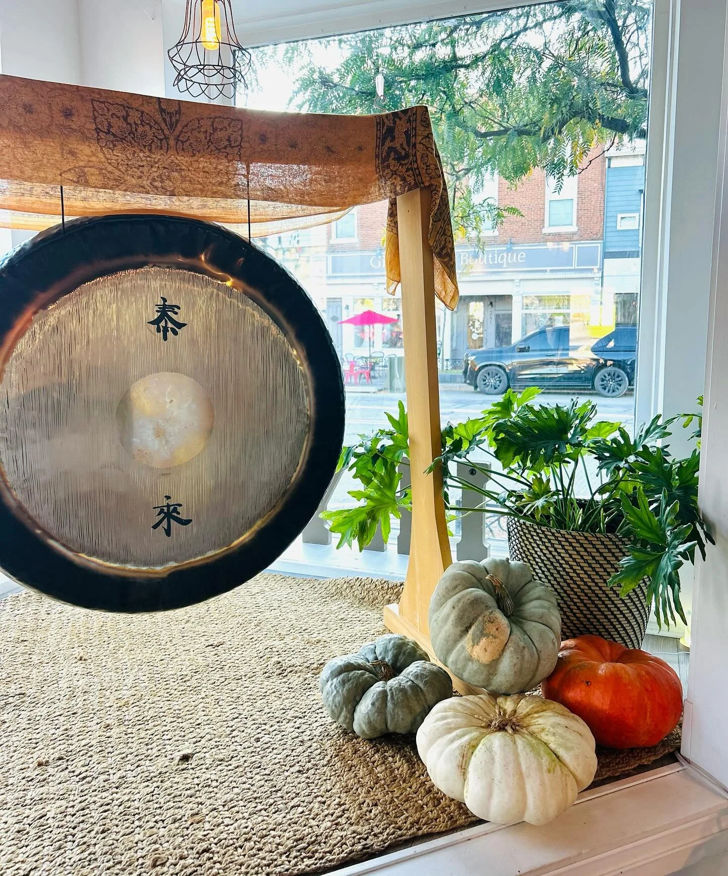 &ldquo;Fall has always been my favorite season. The time when everything bursts with its last beauty, as if nature had been saving up all year for the grand finale.&rdquo; -Lauren DeStefano 🍂 

As the leaves turn and the air cools, it&rsquo;s the pe