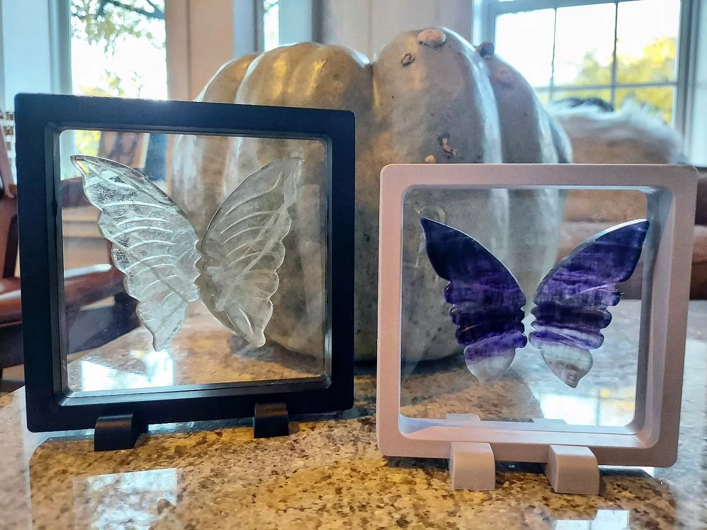 🦋In this season of slowing down and turning inward, the butterfly reminds us that sometimes rest is the most productive thing you can possibly do.

🦋The metamorphosis only comes after the cocoon - CM Winter

-------------
#seasonofchange #slowdown
