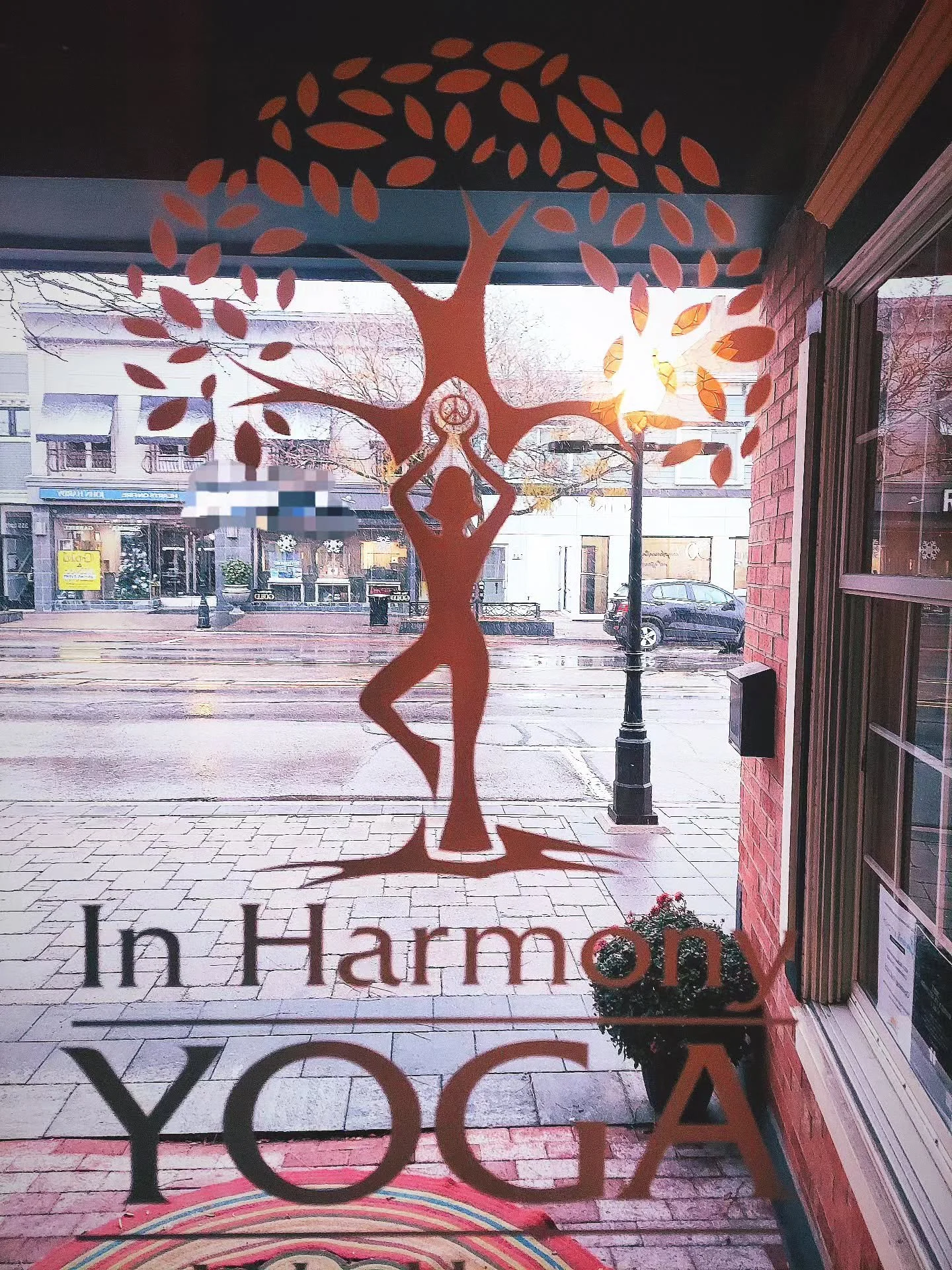 ❄️Do not let the snow damper your spirits. Let it instead remind you that this is the season to quiet down, to pause, to root in. This is the season of peace and introspection. 

❄️We are all called to our mats to reflect and retreat. Let us provide 