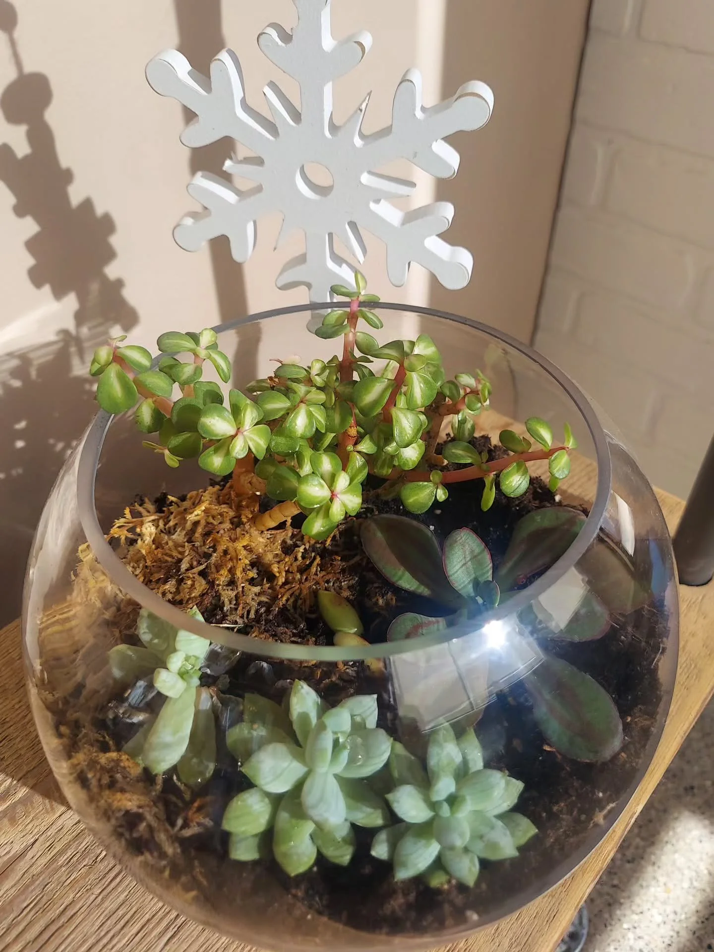 🌿Nature is not productive all year long. There are entire seasons dedicated to slowing down, shedding layers, going inwards, and replenishing resources. 

🌿We don't judge the timing of nature. We honor it and intuitively understand that this is the