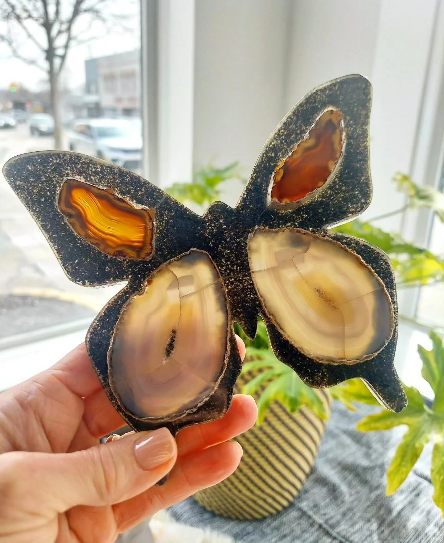 The butterfly's transformation teaches us to release what's holding us back and embrace new beginnings.

When we come to our mats, we, too, can release what's no longer serving us and begin again. 🦋

#yogajourney
#yogatransformation 
#embracechange
