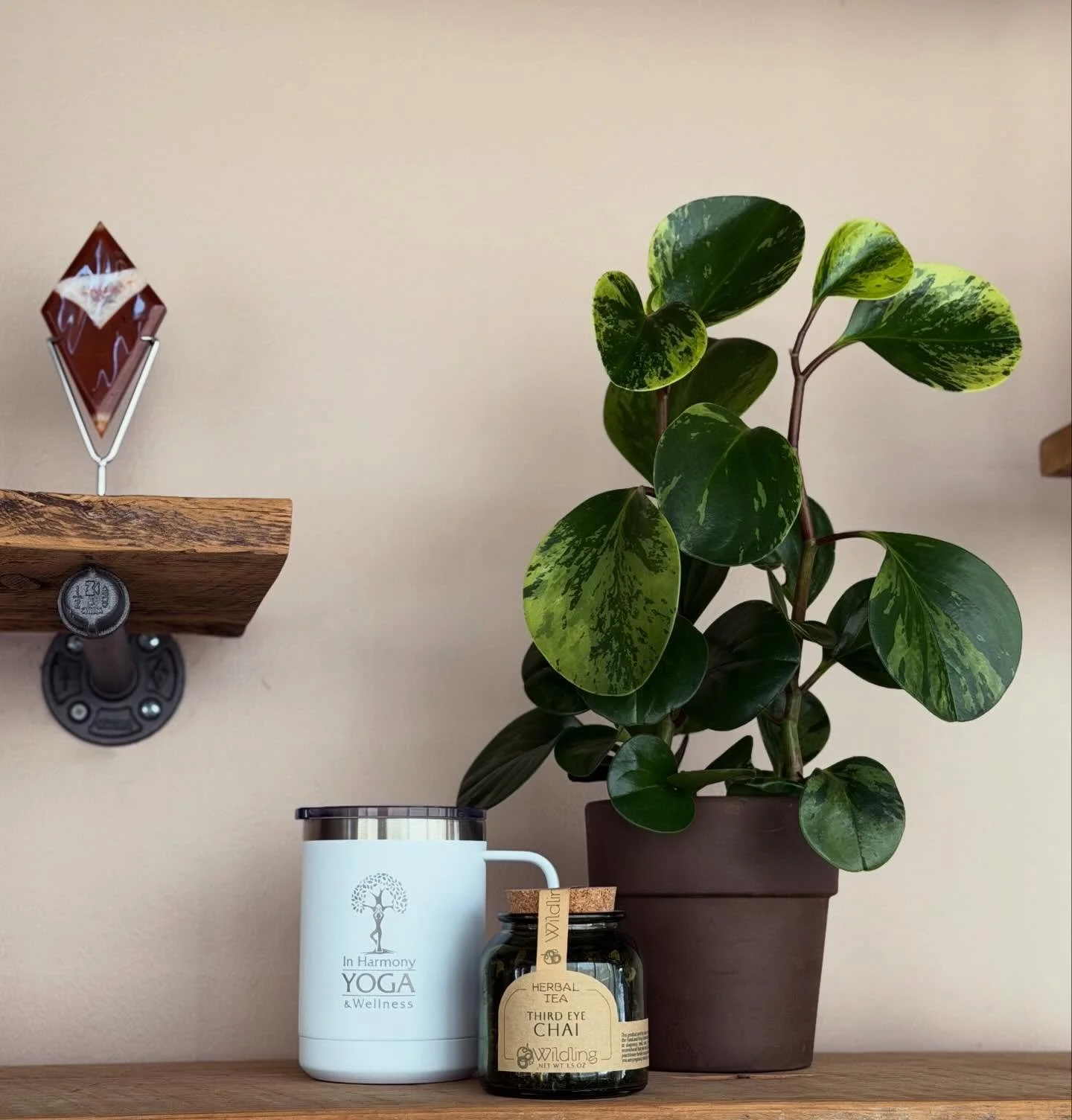 As the light returns, take time to pause and nourish what&rsquo;s ready to bloom within you.🌿
Join Michelle and Cynthia for Rest, Restore, Reflect: Yoga + Tea 🫖 
Friday, March 20th, 7:00-9:00pm

An evening of gentle yoga, meditation, journaling and