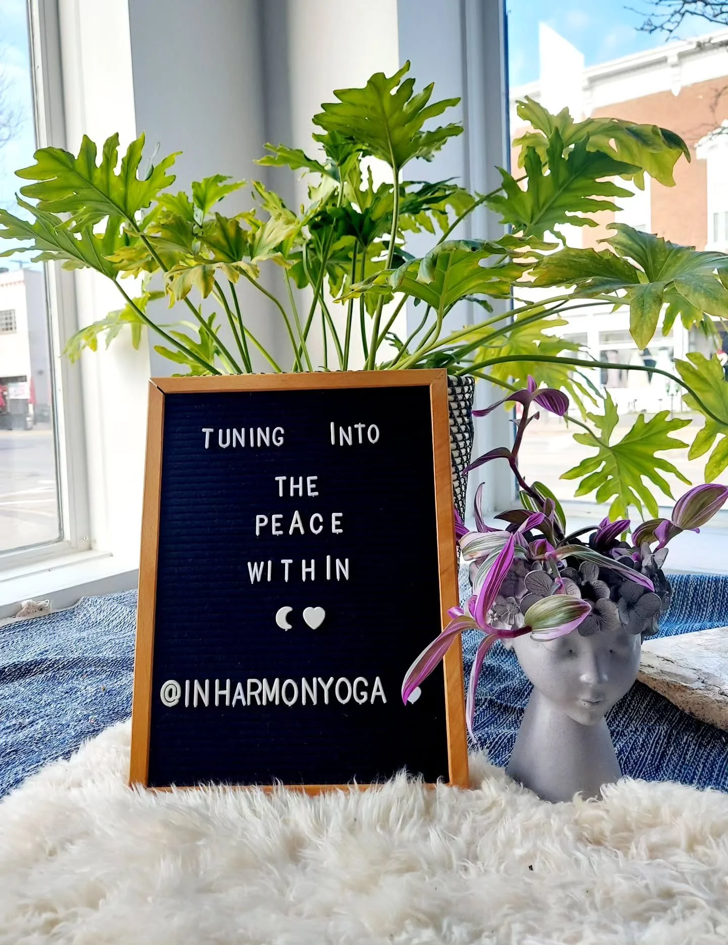 🌿Peace lives in these walls. It is the essence of InHarmony. Each breath you take on your mat invites peace to enter. Each exhale out releases what no longer serves you. 

🌿As you come to your mat, allow the peace to hold you. Allow it to gently em