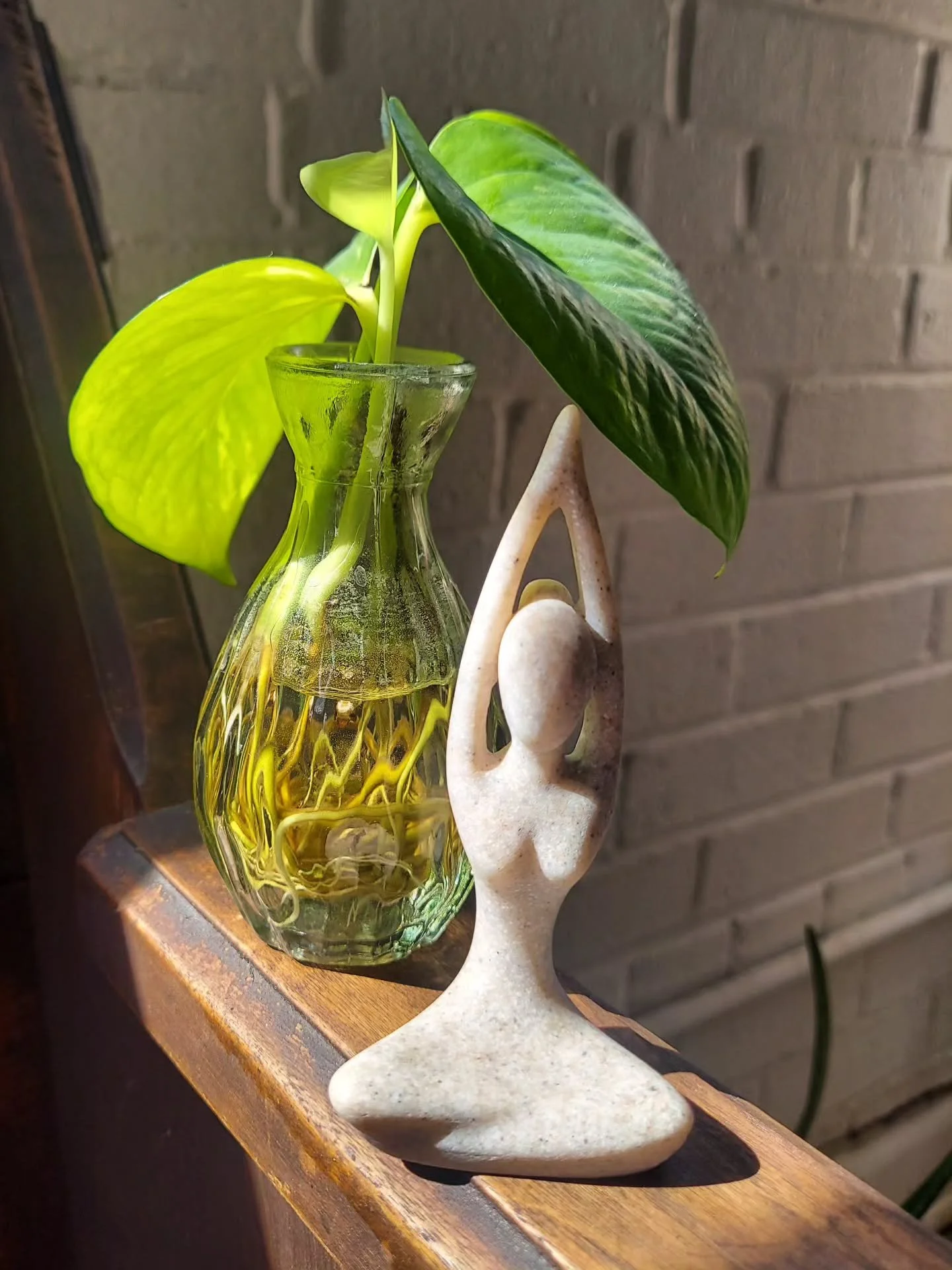 Whether we're standing or sitting, when we root to rise, we honor the duality of being grounded and firm in our foundation first while we grow our branches towards the sun. 

The pose teaches us what the soul already knows- stability isn't stillness.