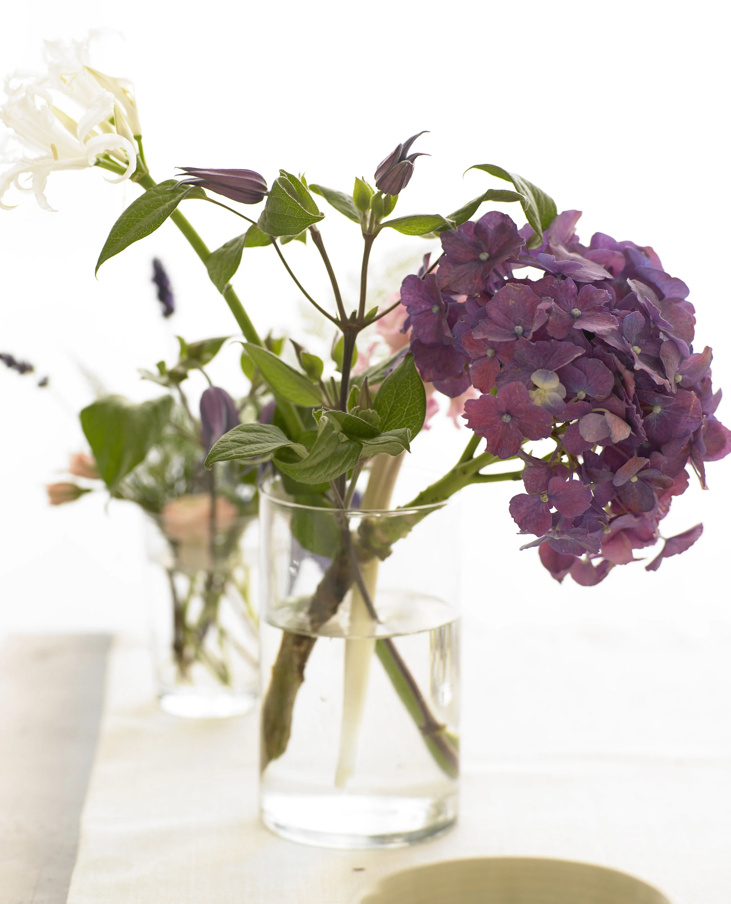 Flower_Glossary_001.jpg