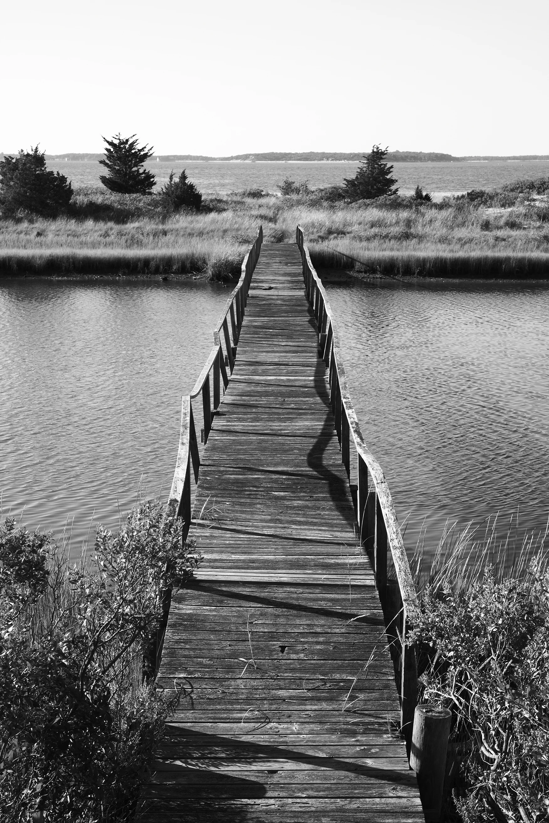 Bridge.jpg