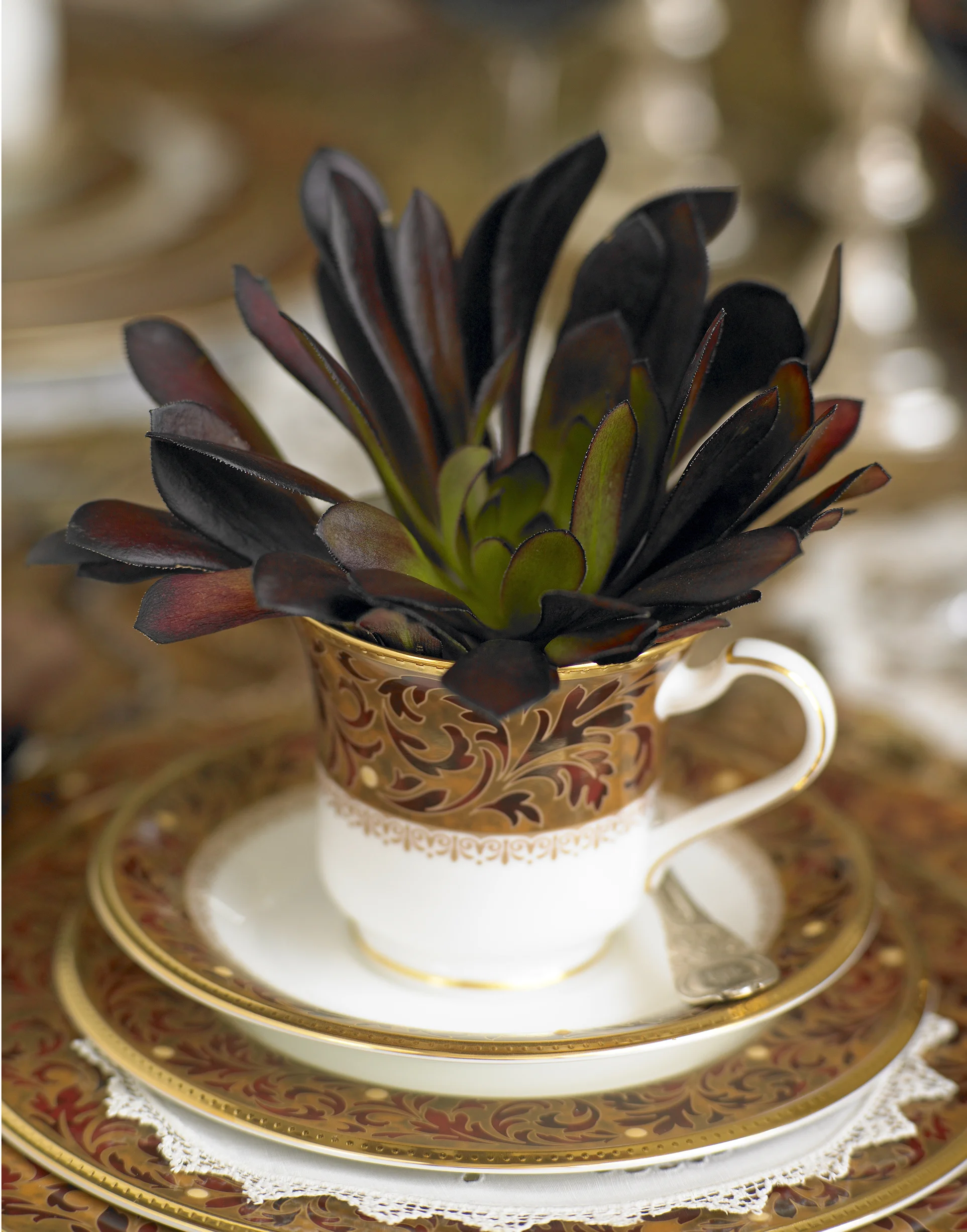 EditorialNoritake_050RT copy.jpg