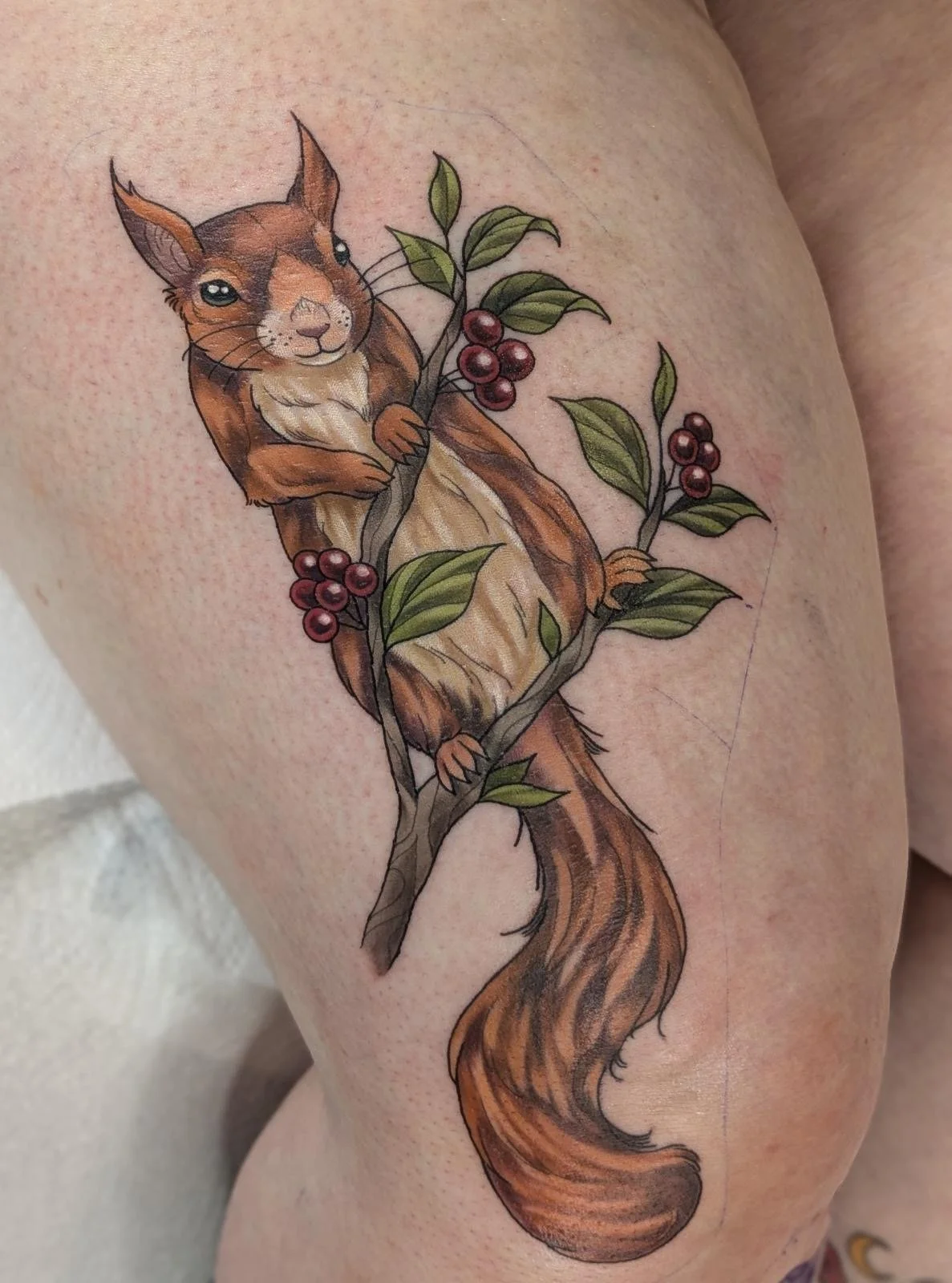 Ellie danby red squirrel tattoo.JPG