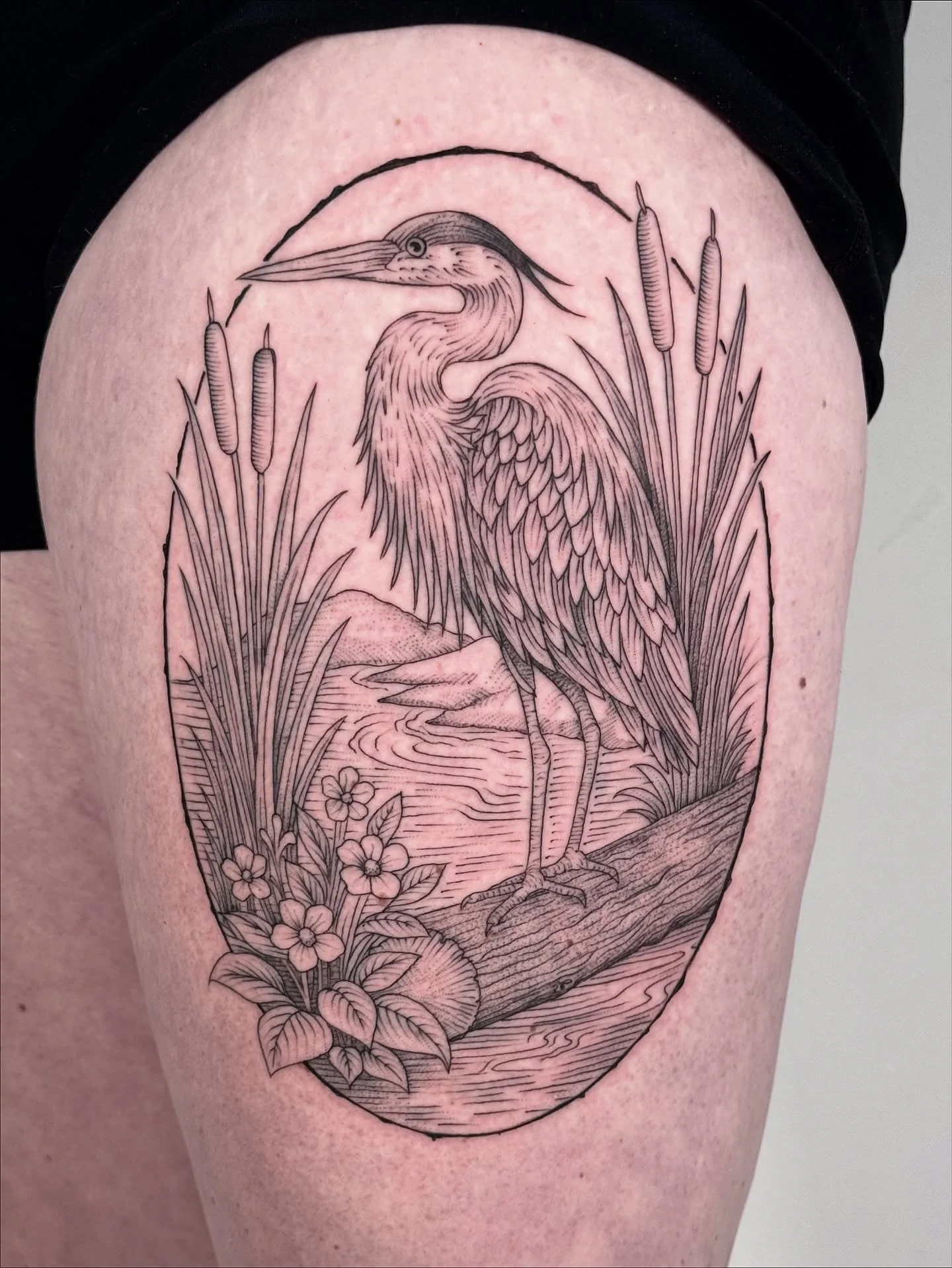 Blue heron done in 2hrs. Thanks Cameron!