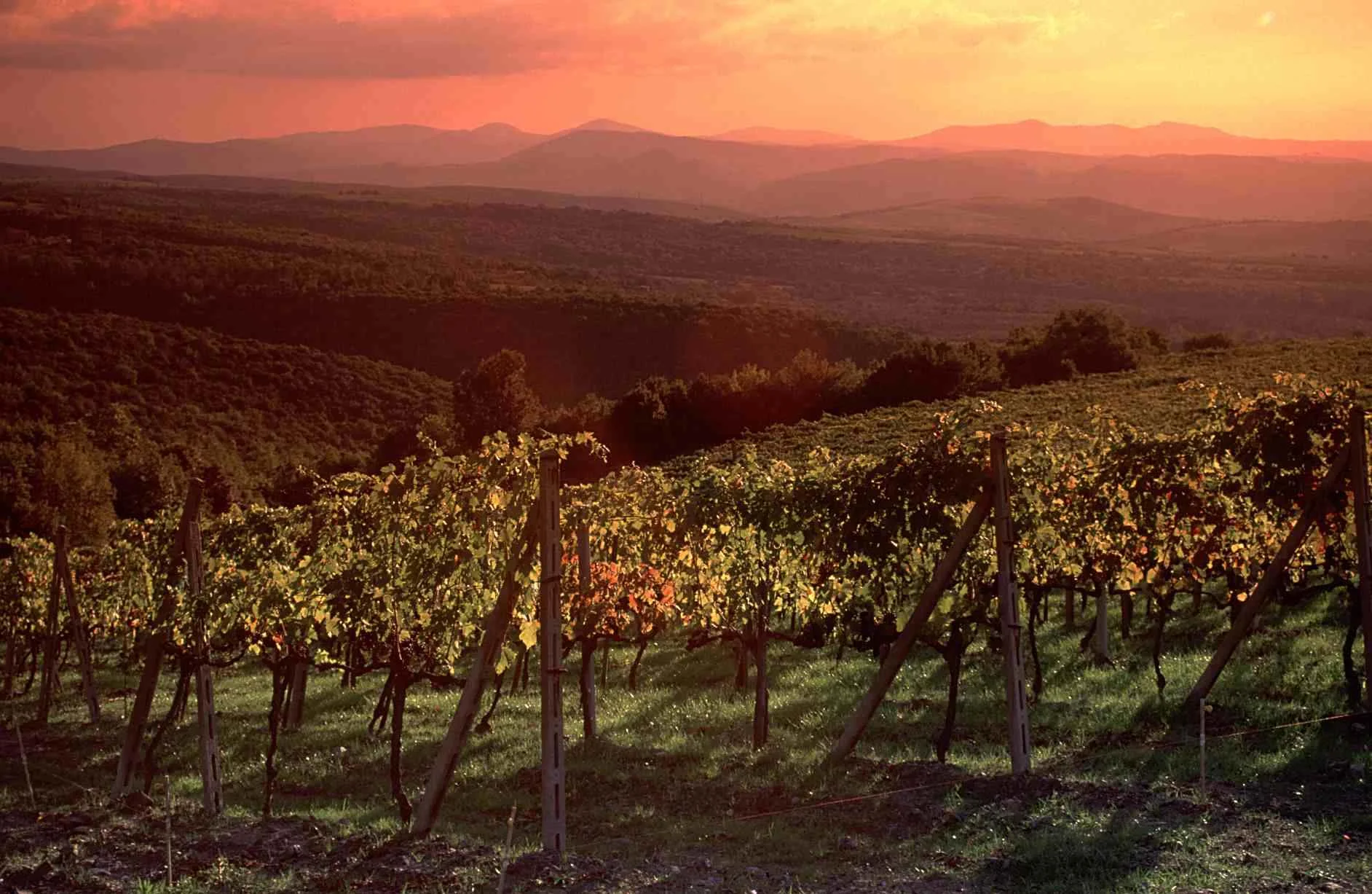Capolavori-dei-Sensi-foto-paesaggio2.jpg
