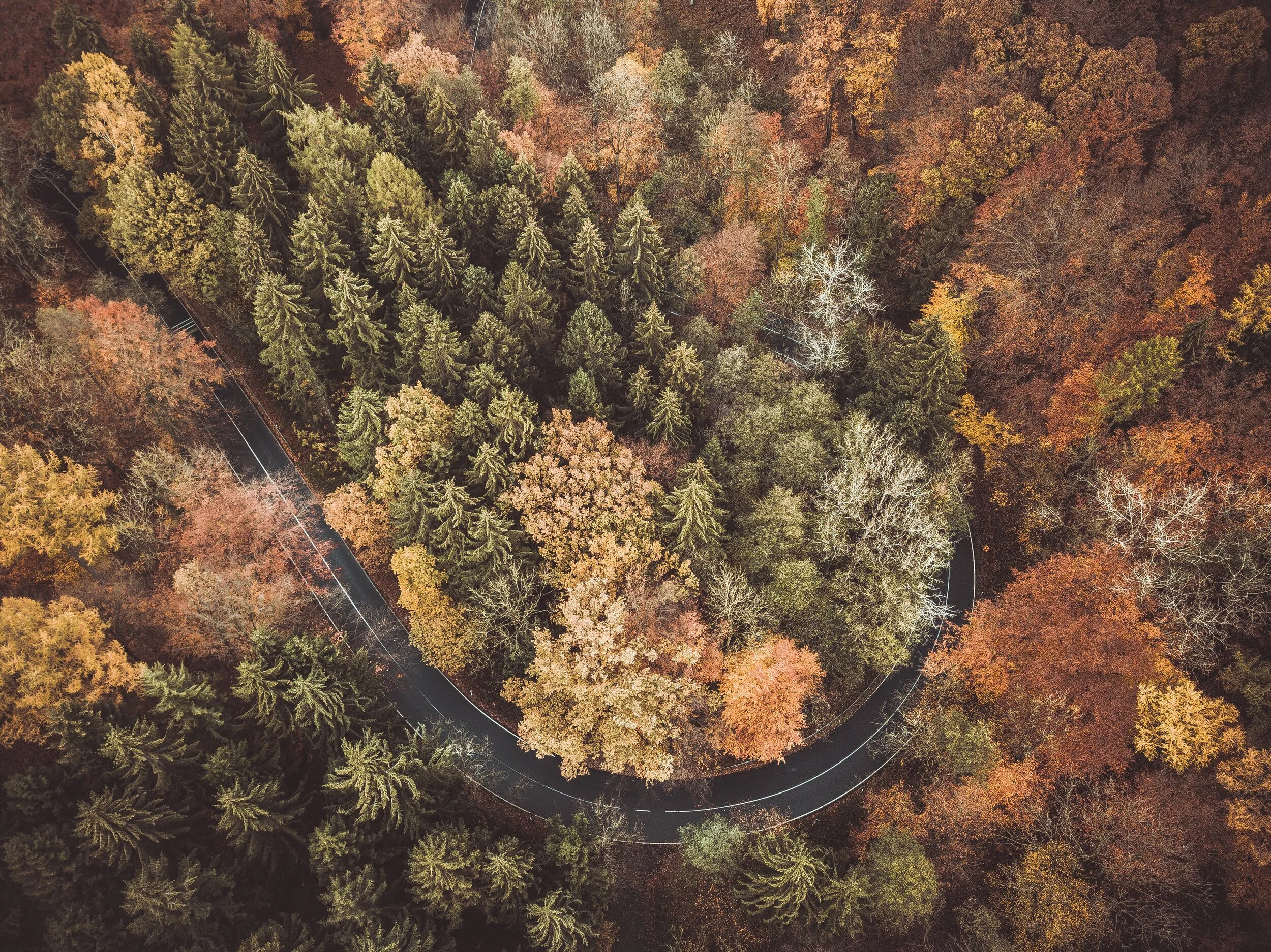 aerial-shot-autumn-bird's-eye-view-drone-shot-environment-fall-1550943-pxhere.com.jpg