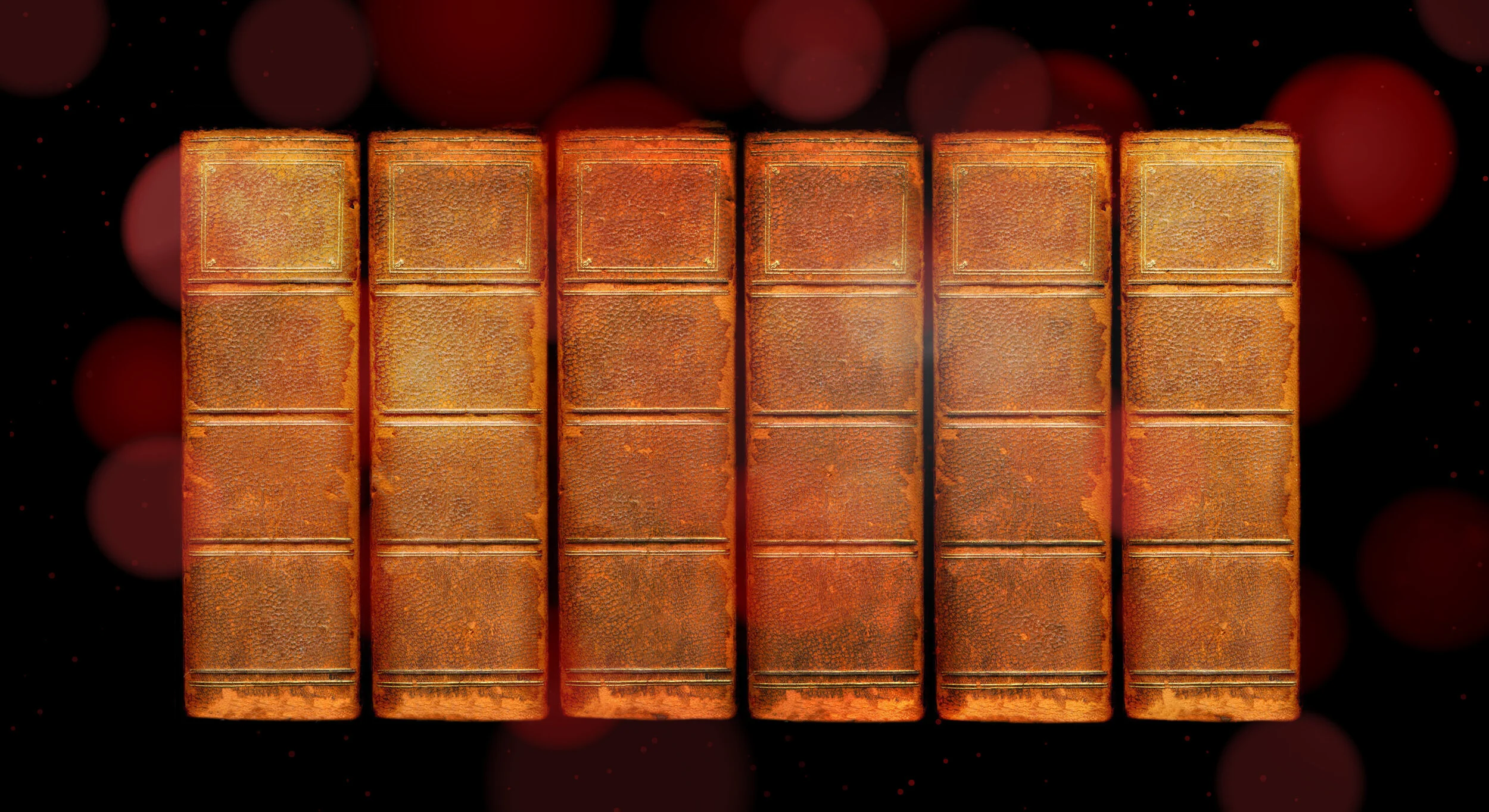 book banner.jpg