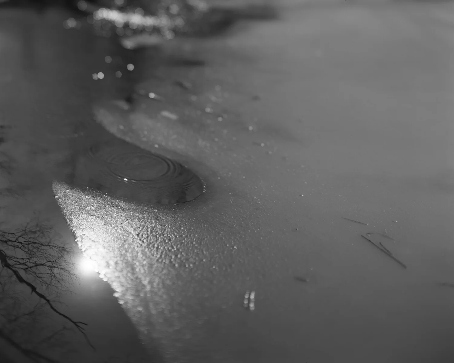 4_Thaw.jpg