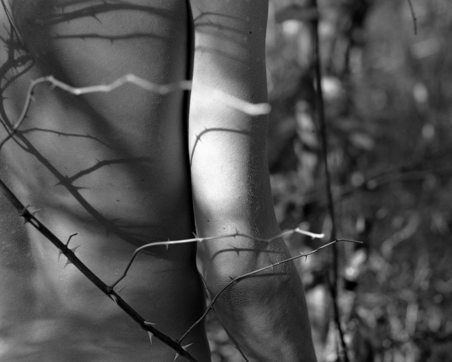 13_Thorns.jpg